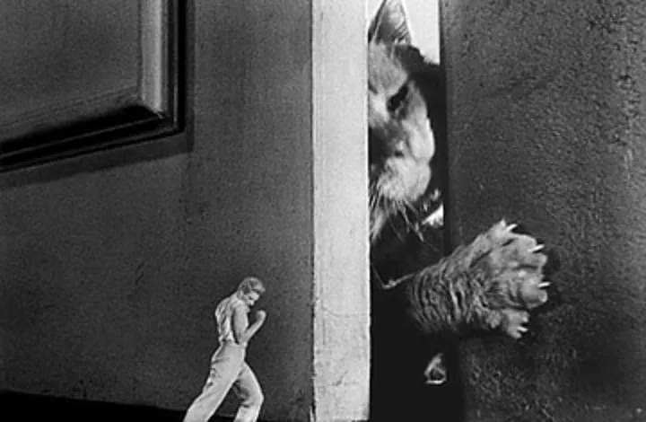 [HorrorScience] El increíble hombre menguante (1957)