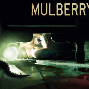 Póster de Mulberry Street