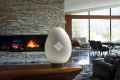 Enron Egg