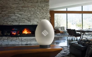 El «Enron Egg»: Una parodia que captó la atención en el CES 2025
