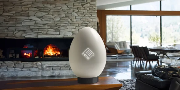 Enron Egg