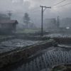 Silent Hill f