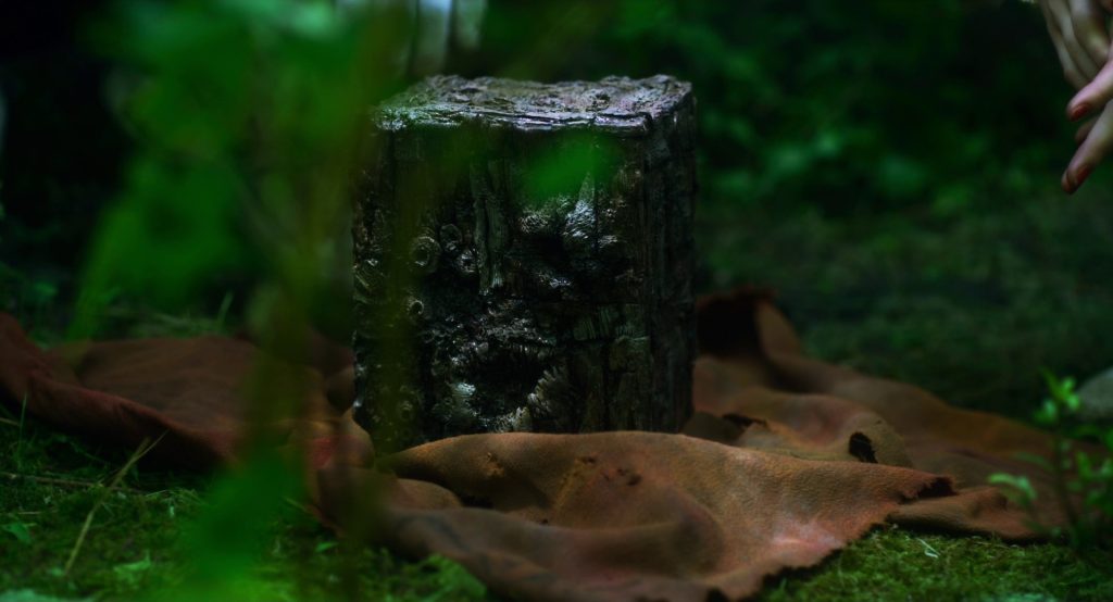 Suicide Forest Village