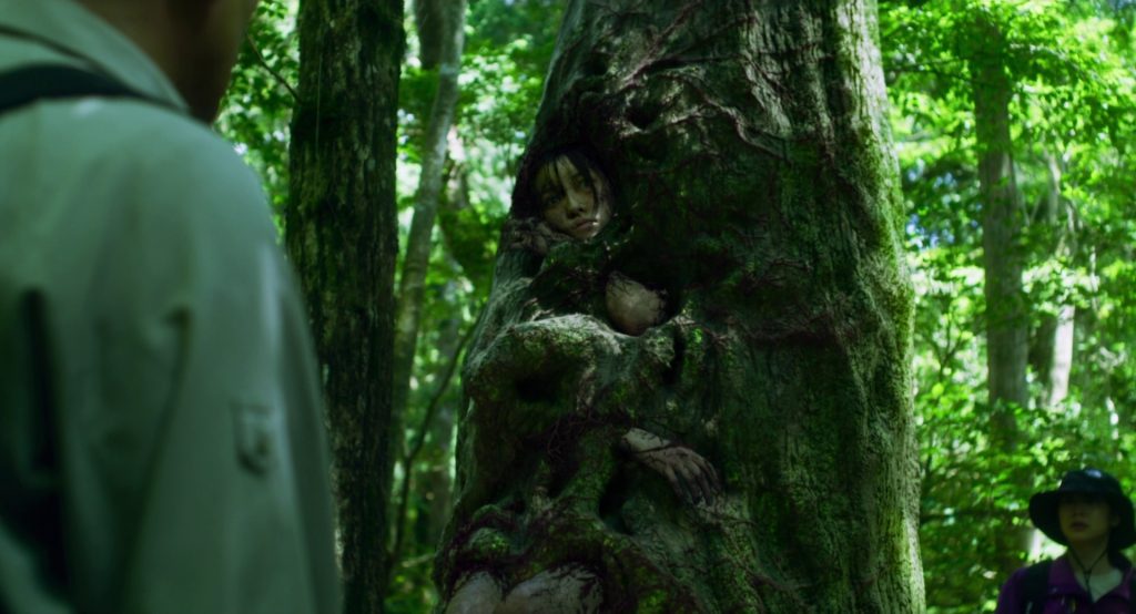 Suicide Forest Village