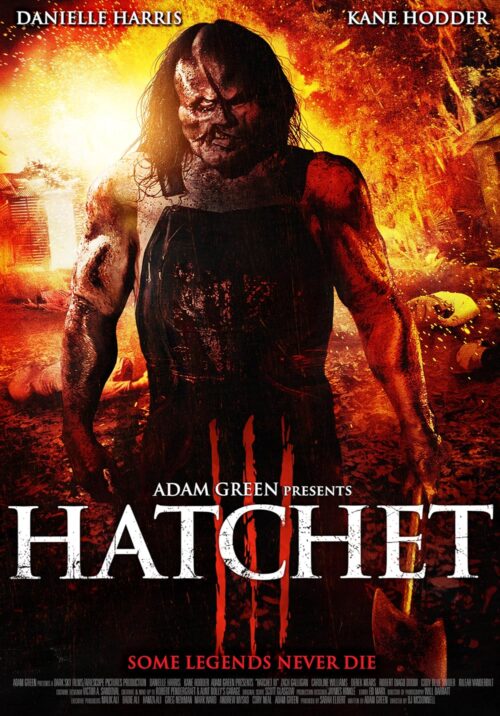 Portada de Hatchet III